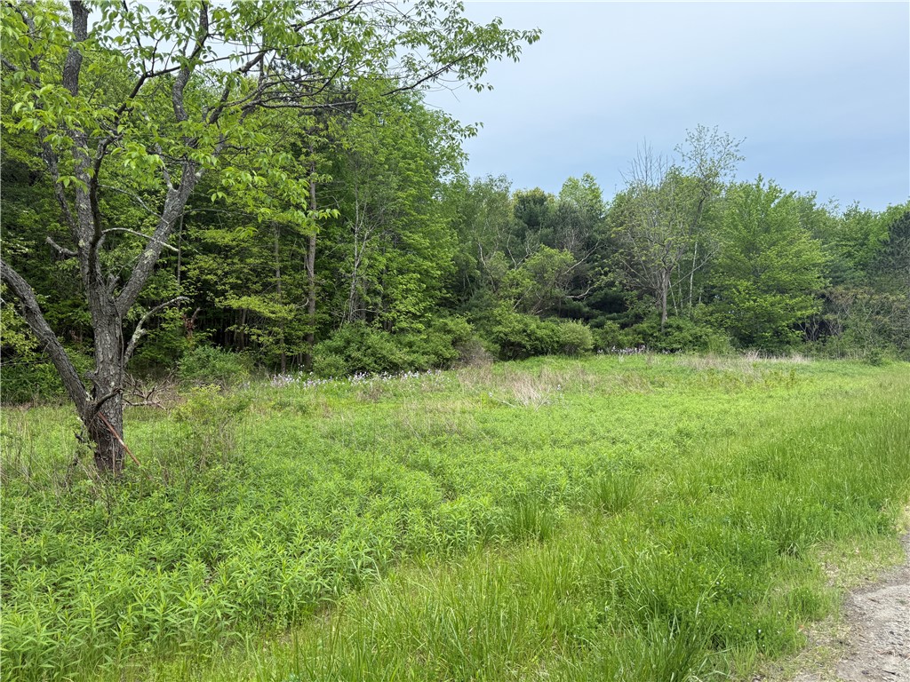 0 Straw Hill Road Barton, NY 13734 - Photo 4 of 6