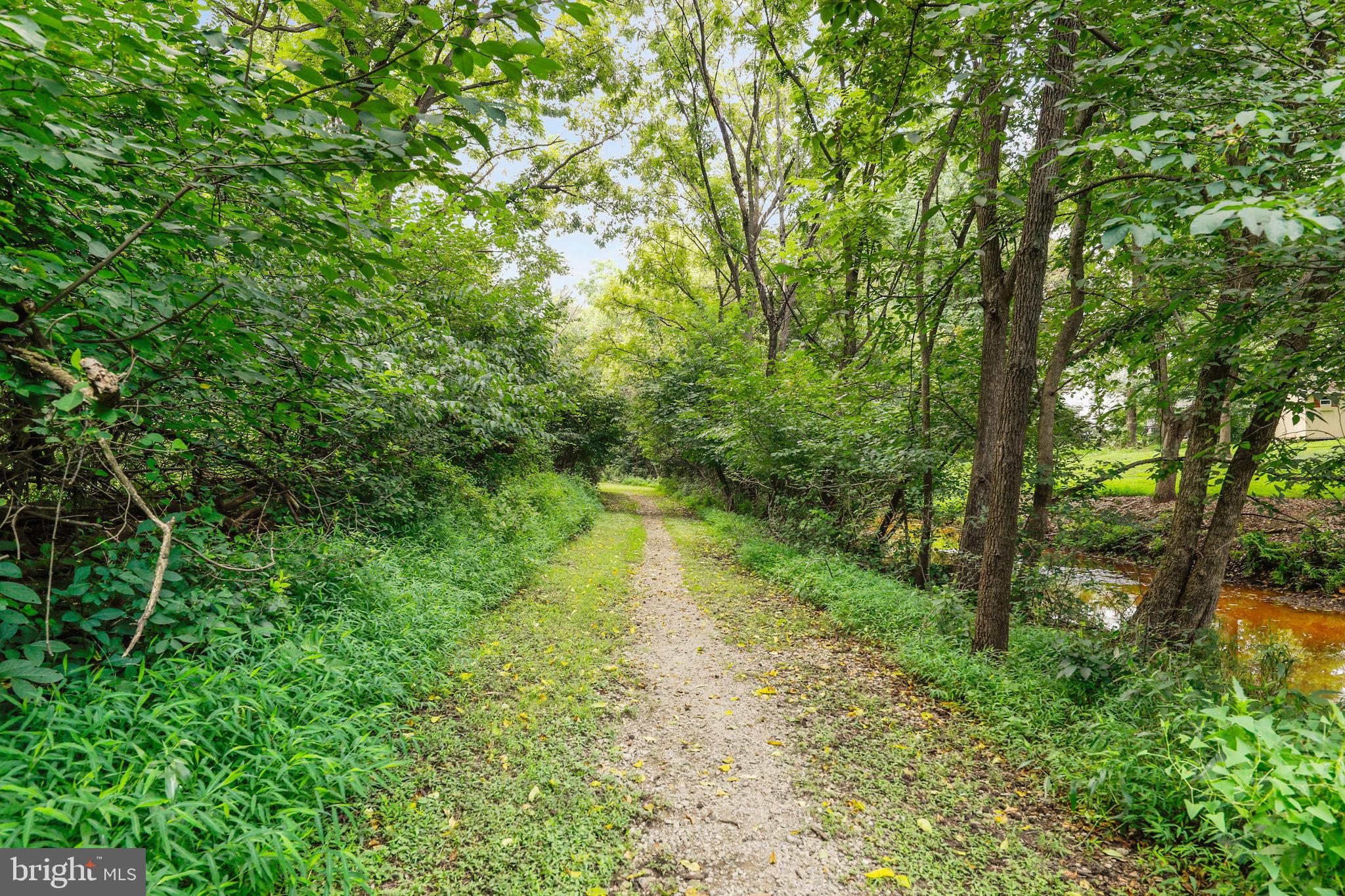 716 Liberty Road Mount Laurel, NJ 08054 - Photo 49 of 51 a view of a lake with lots of trees