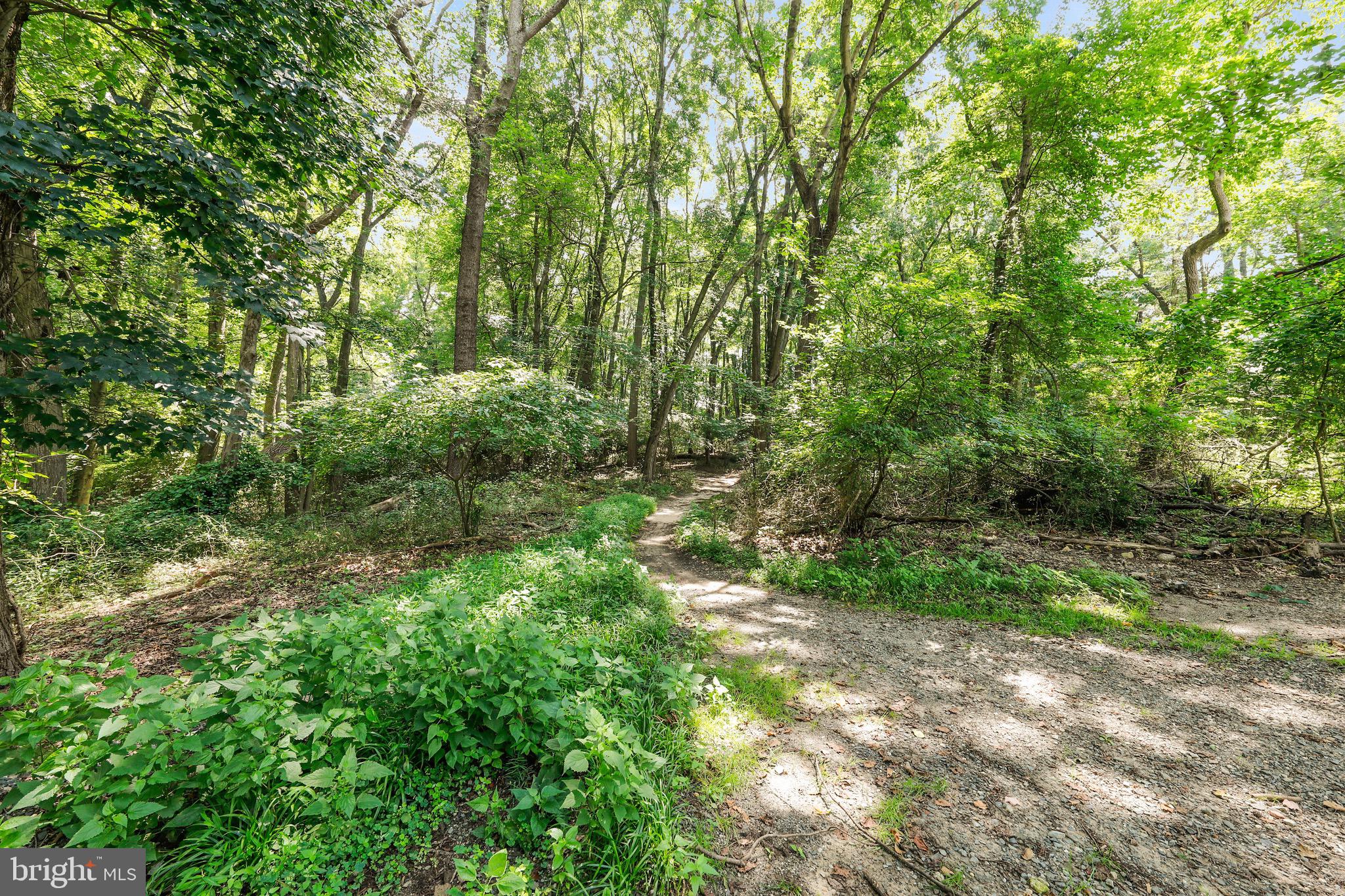 716 Liberty Road Mount Laurel, NJ 08054 - Photo 51 of 51 a backyard of a house with lots of green space and garden