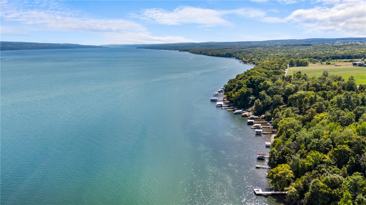1695 Long Point Beach Road Torrey, NY 14527 - Photo 47 of 48 Beautiful Seneca Lake!!