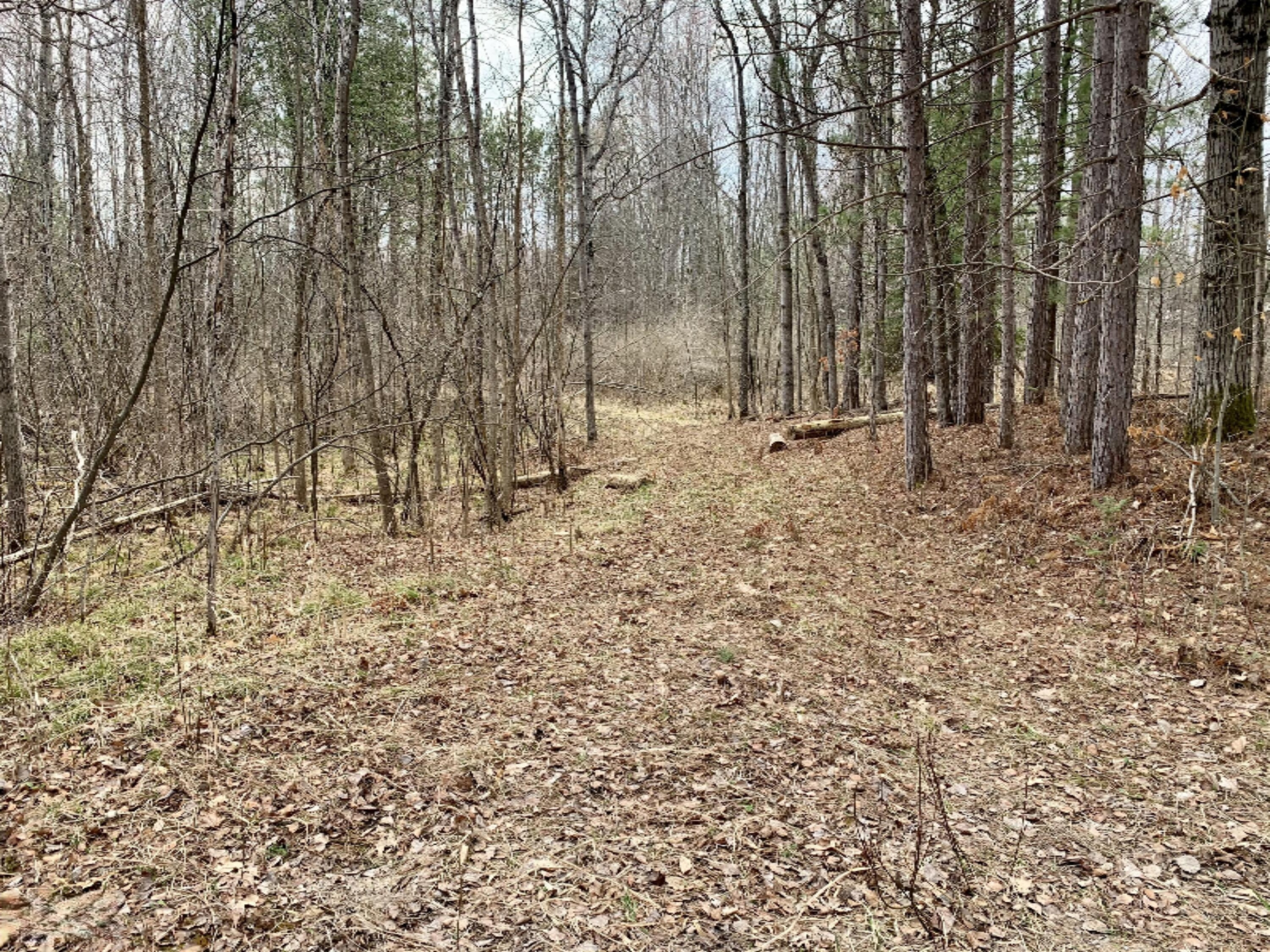 22313 10 Mile Road Reed City, MI 49677 - Photo 3 of 6 IMG_1906