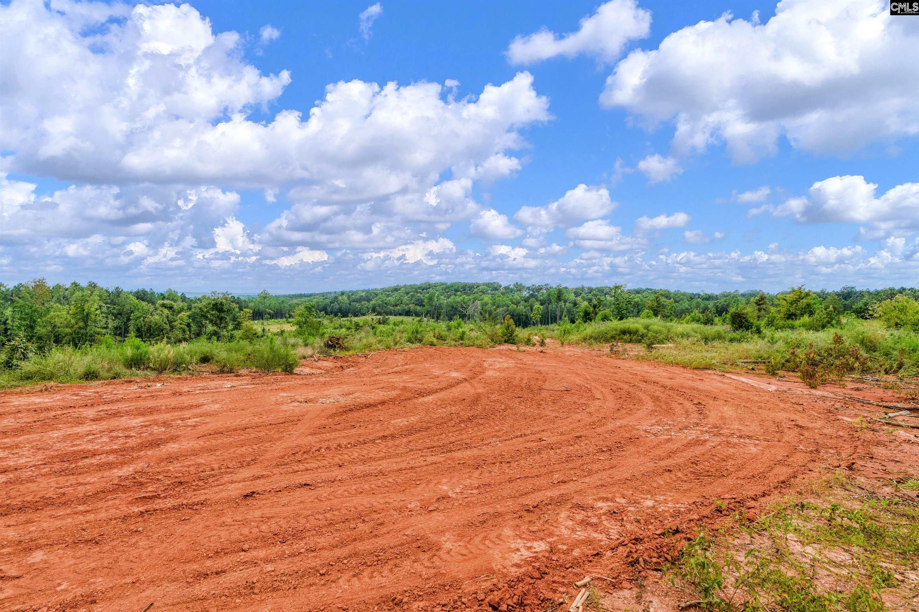 0 Penner Road, Unit 7 Jenkinsville, SC 29065 - Photo 27 of 36
