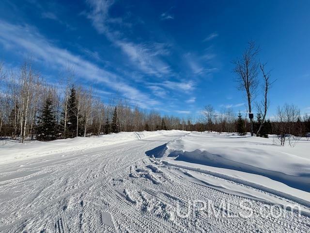 5586 South Helen Lake Road Ishpeming, MI 49849 - Photo 3 of 54
