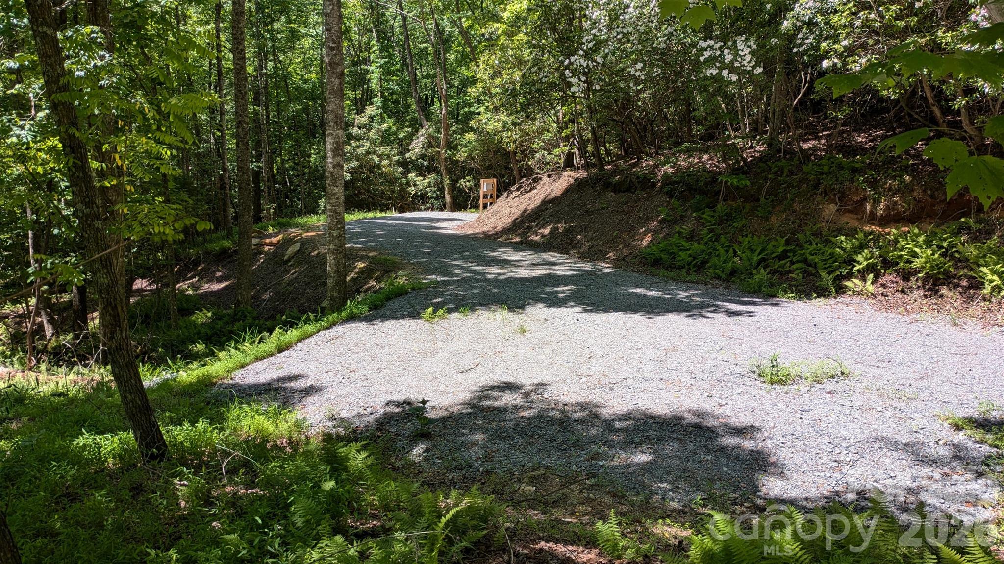 313 Line Runner Ridge Road Brevard, NC 28712 - Photo 16 of 33