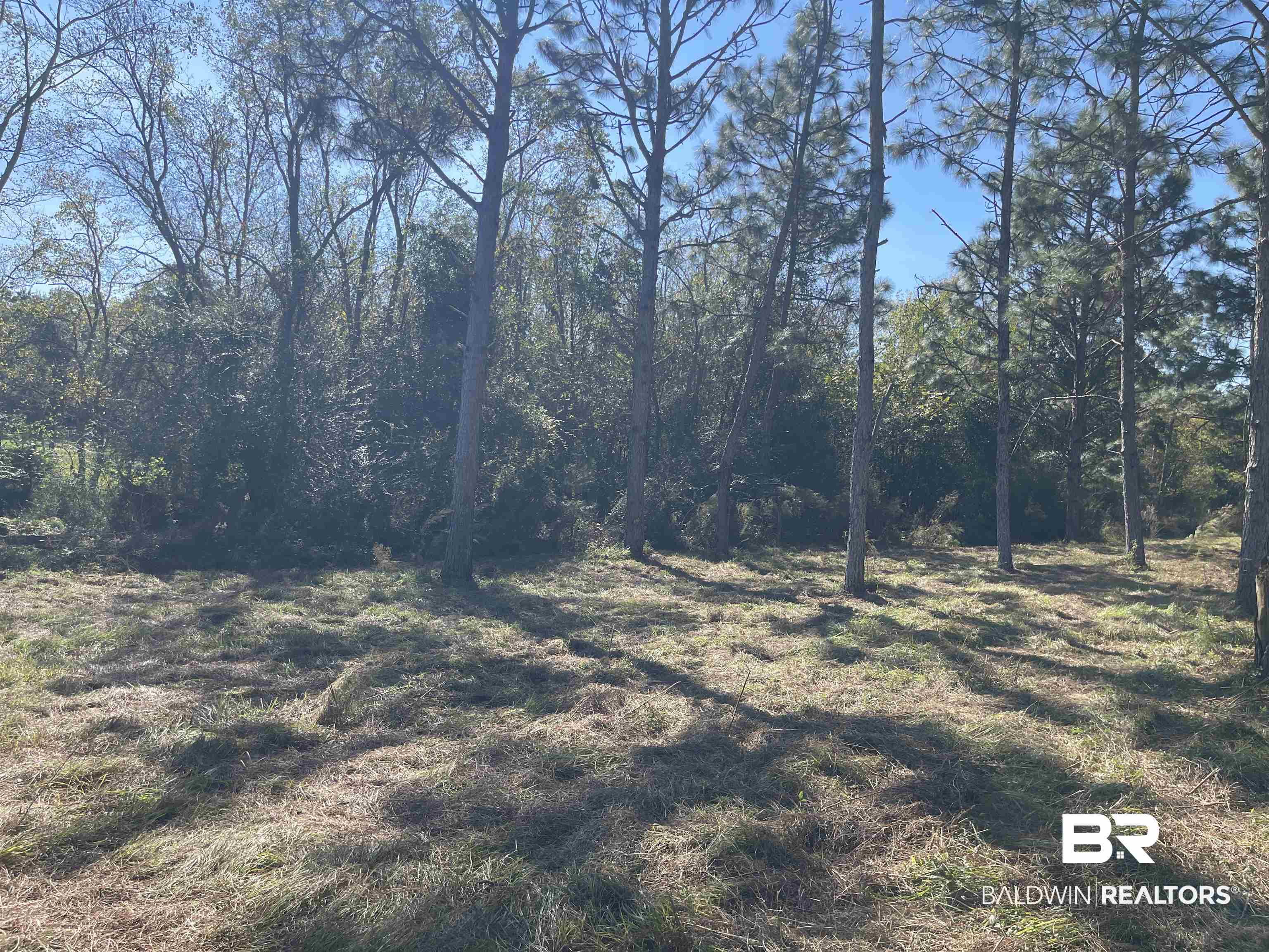 0 Fackler Road Loxley, AL 36551 - Photo 5 of 11 View of yard