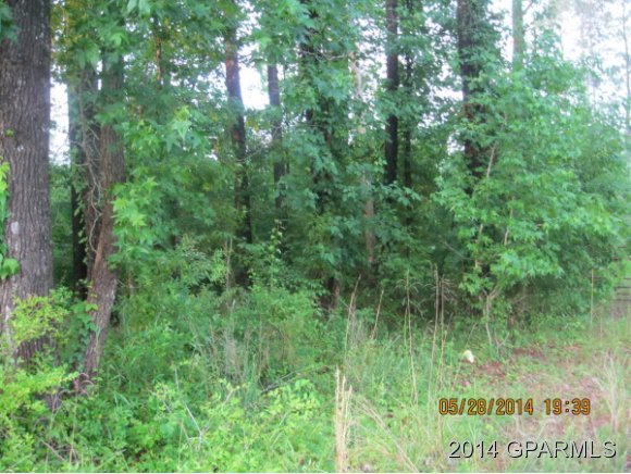 137 Tarheel Road Windsor, NC 27983 - Photo 1 of 1 Primary Photo