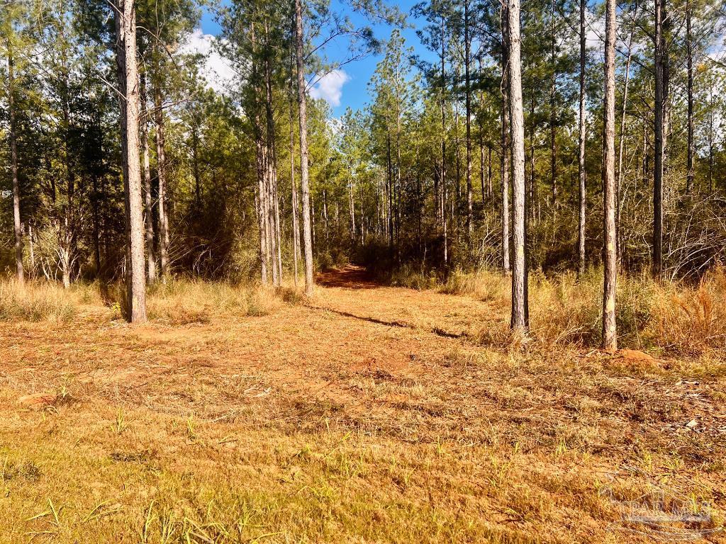 Lot 13 Denali Road Jay, FL 32565 - Photo 12 of 26