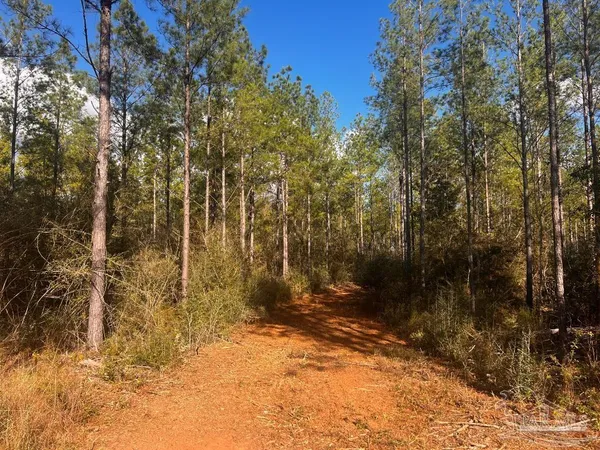 $289,000 | Lot 13 Denali Road, Jay, FL 32565