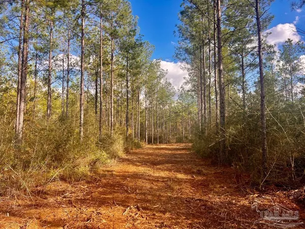 $289,000 | Lot 13 Denali Road, Jay, FL 32565