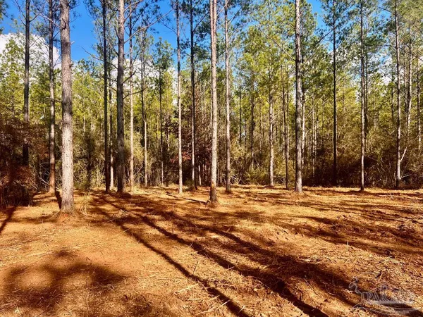 $289,000 | Lot 13 Denali Road, Jay, FL 32565