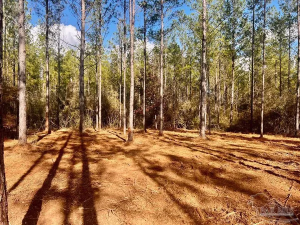 $289,000 | Lot 13 Denali Road, Jay, FL 32565