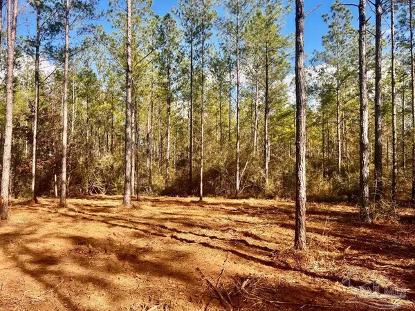$289,000 | Lot 13 Denali Road, Jay, FL 32565
