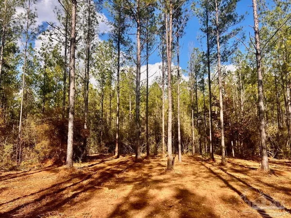 $289,000 | Lot 13 Denali Road, Jay, FL 32565