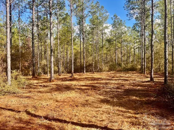 $289,000 | Lot 13 Denali Road, Jay, FL 32565