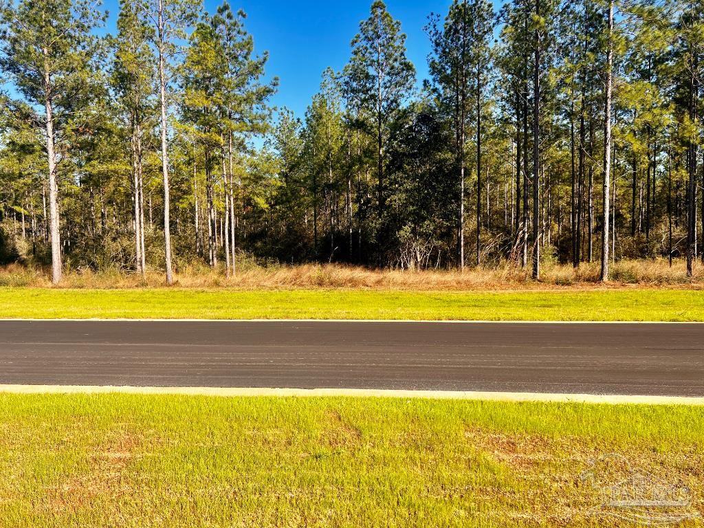 Lot 13 Denali Road Jay, FL 32565 - Photo 9 of 26