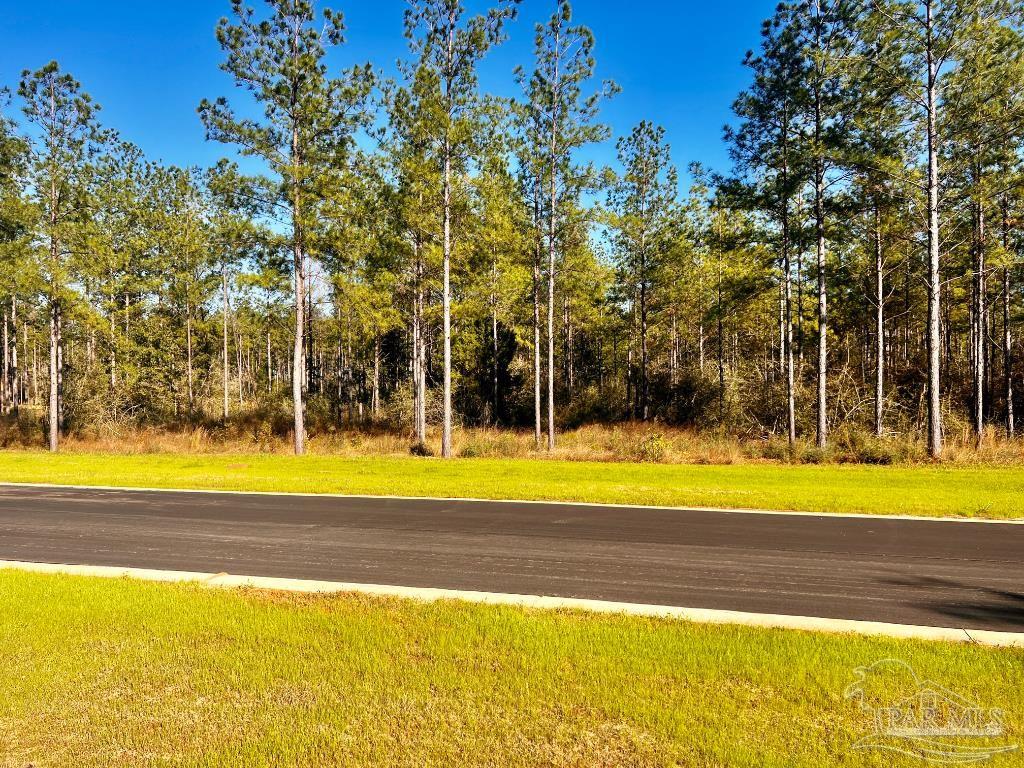 Lot 13 Denali Road Jay, FL 32565 - Photo 10 of 26