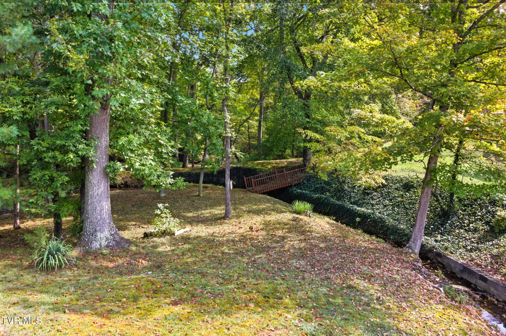 4001 Leaning Pine Road Kingsport, TN 37660 - Photo 28 of 45 39-web-or-mls-DZ3A5337