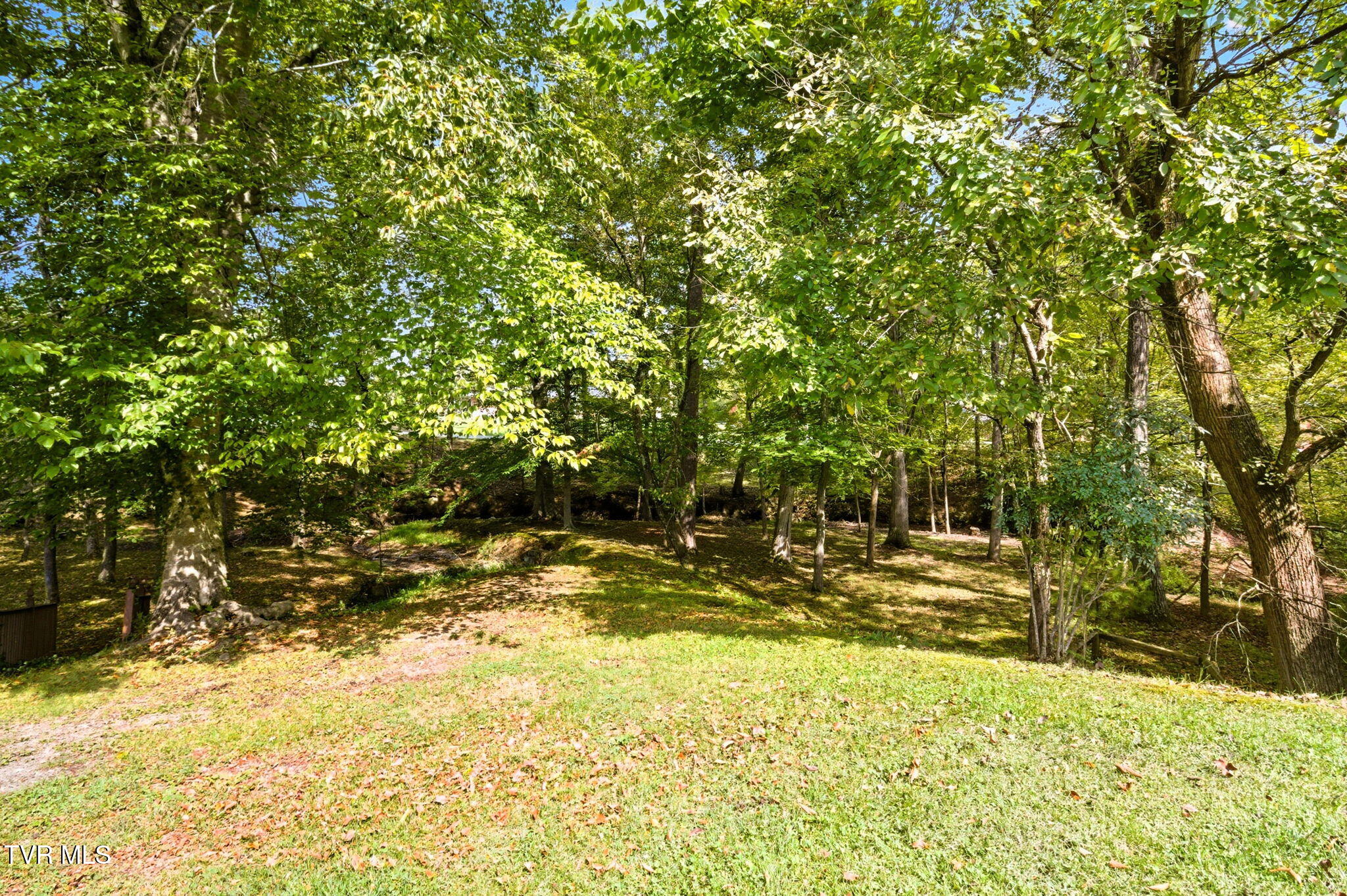 4001 Leaning Pine Road Kingsport, TN 37660 - Photo 37 of 45 33-web-or-mls-DZ3A5313