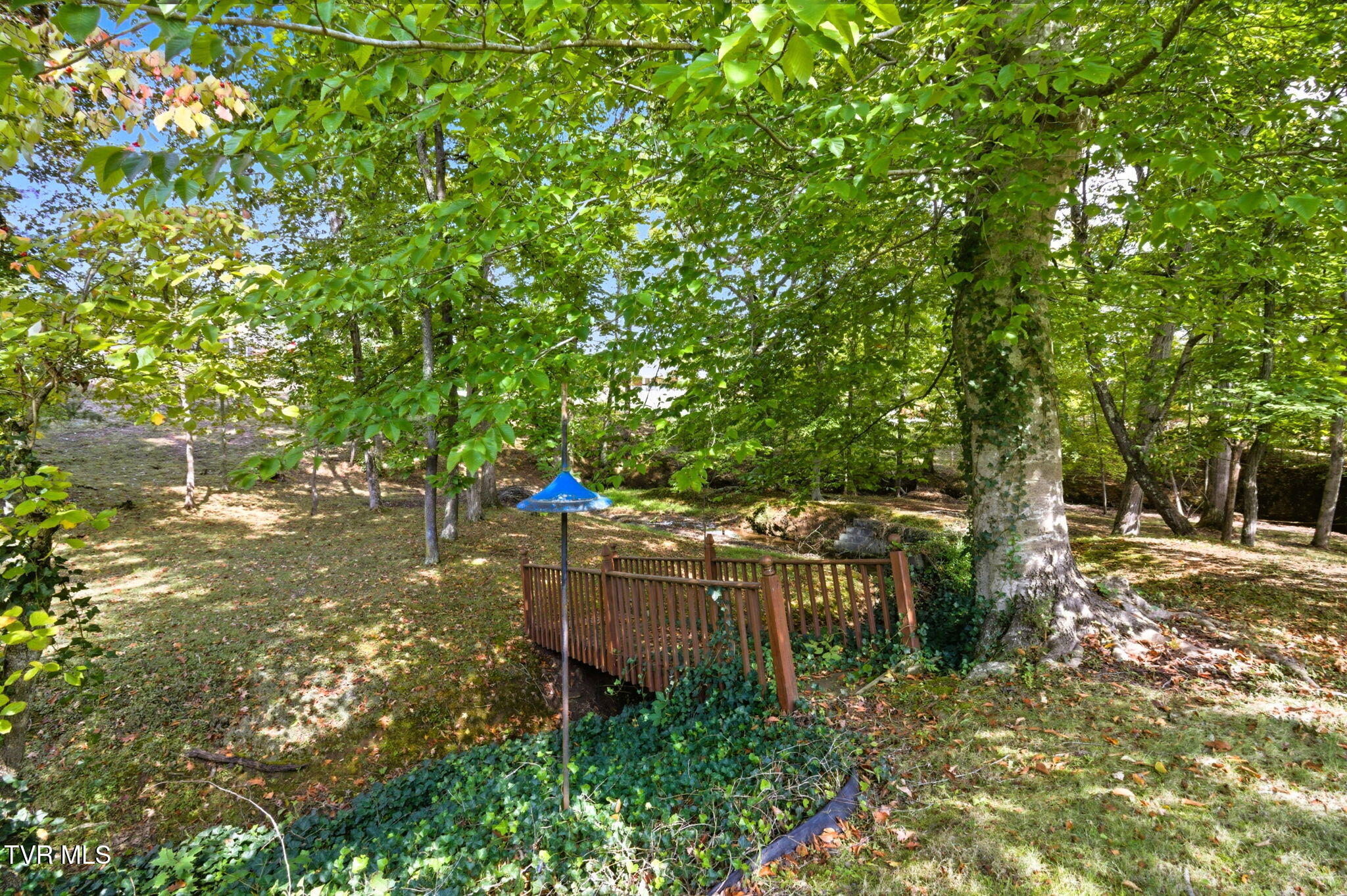 4001 Leaning Pine Road Kingsport, TN 37660 - Photo 38 of 45 34-web-or-mls-DZ3A5317