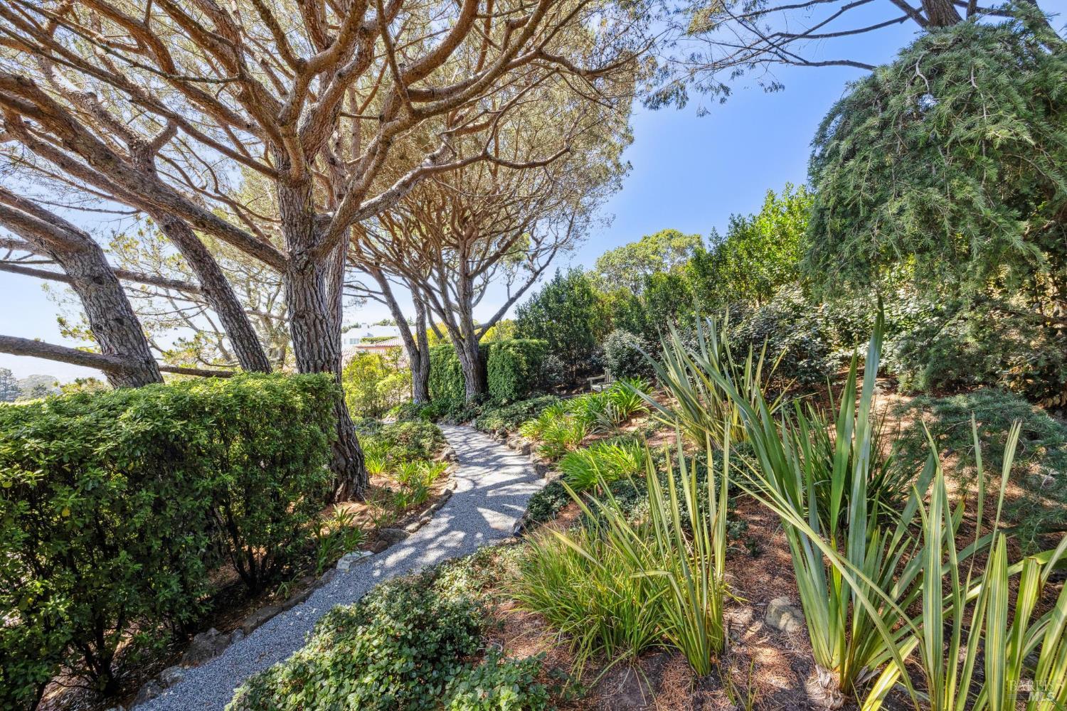 83 Mt Tiburon Road Tiburon, CA 94920 - Photo 93 of 99