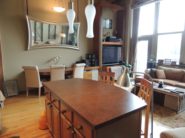 1500 West Monroe Street, Unit 226 Chicago, IL 60607 - Photo 8 of 12