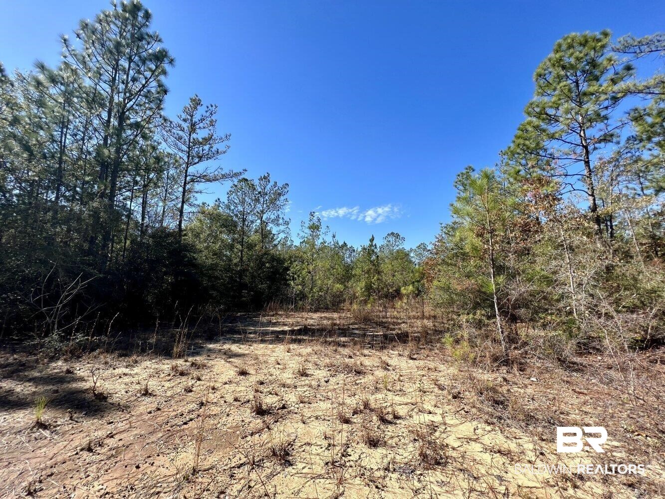 0 C C Road Chunchula, AL 36521 - Photo 3 of 27