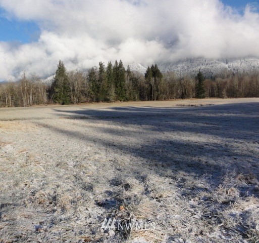 Lot#1 Cline Road Randle, WA 98377 - Photo 10 of 15 Gallery Image 10