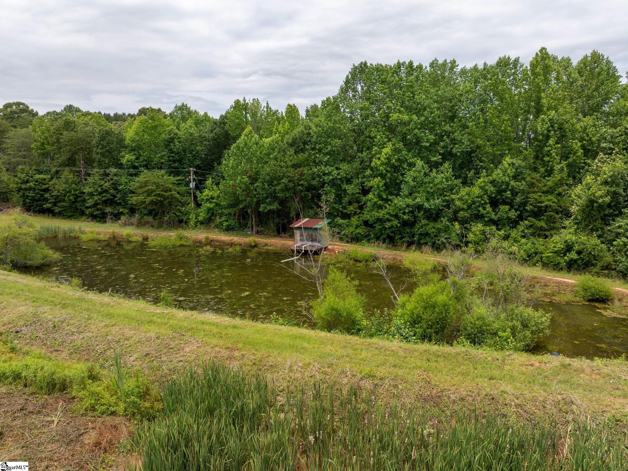 1350 Lee Cudd Road Rutherfordton, NC 28139 - Photo 7 of 34