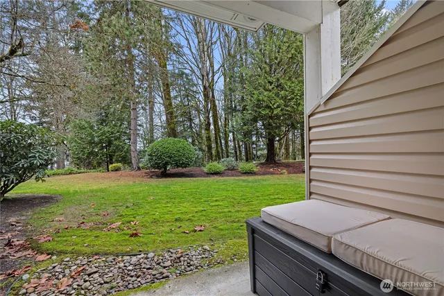 a view of a backyard with plants and large trees