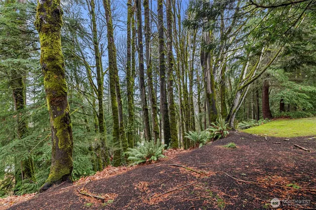 a view of backyard with green space