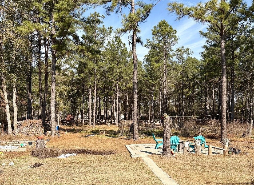 16609 Crosby Street Conroe, TX 77303 - Photo 30 of 30 HUGE BACKYARD