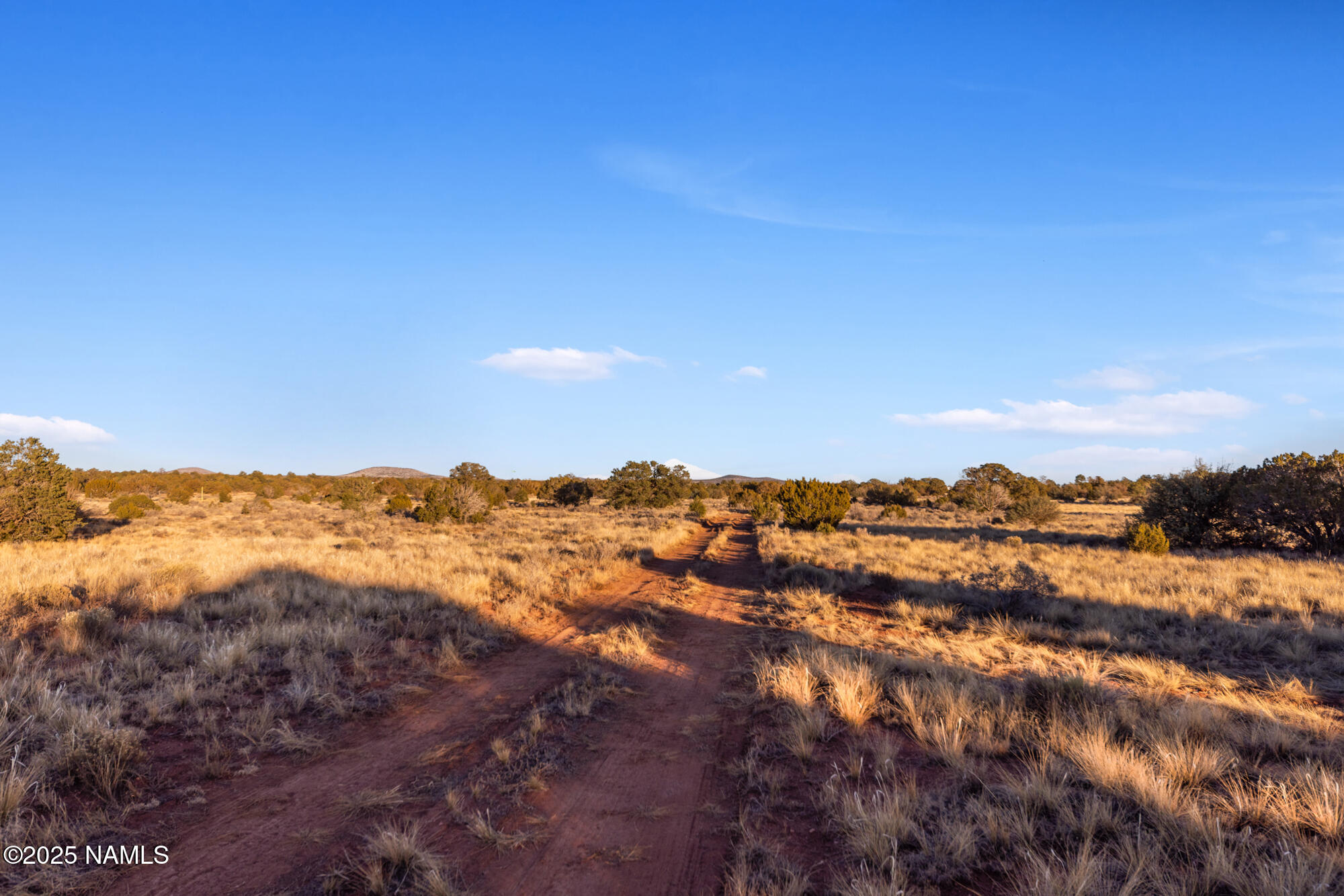 4411 East Cedar Road Williams, AZ 86046 - Photo 21 of 35 IMG_3590
