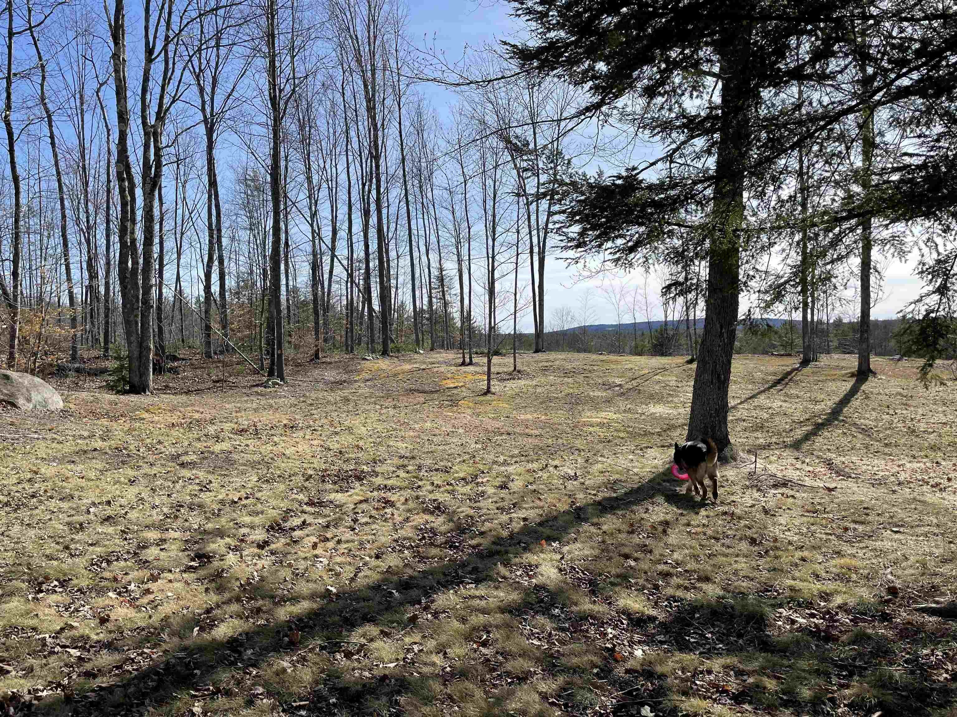 440 Pine River Road Effingham, NH 03882 - Photo 11 of 27 Gallery Image 11