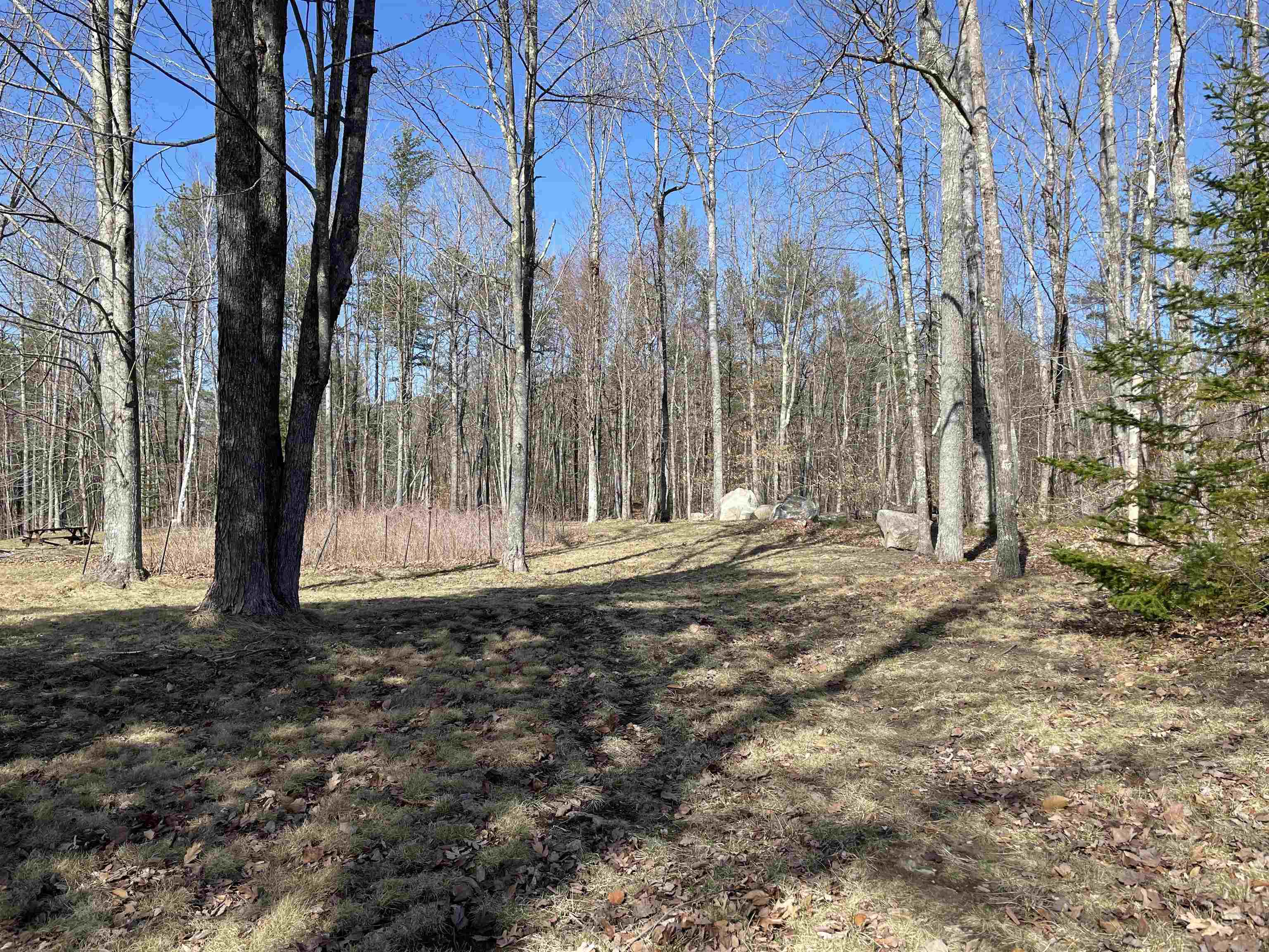 440 Pine River Road Effingham, NH 03882 - Photo 12 of 27 Gallery Image 12