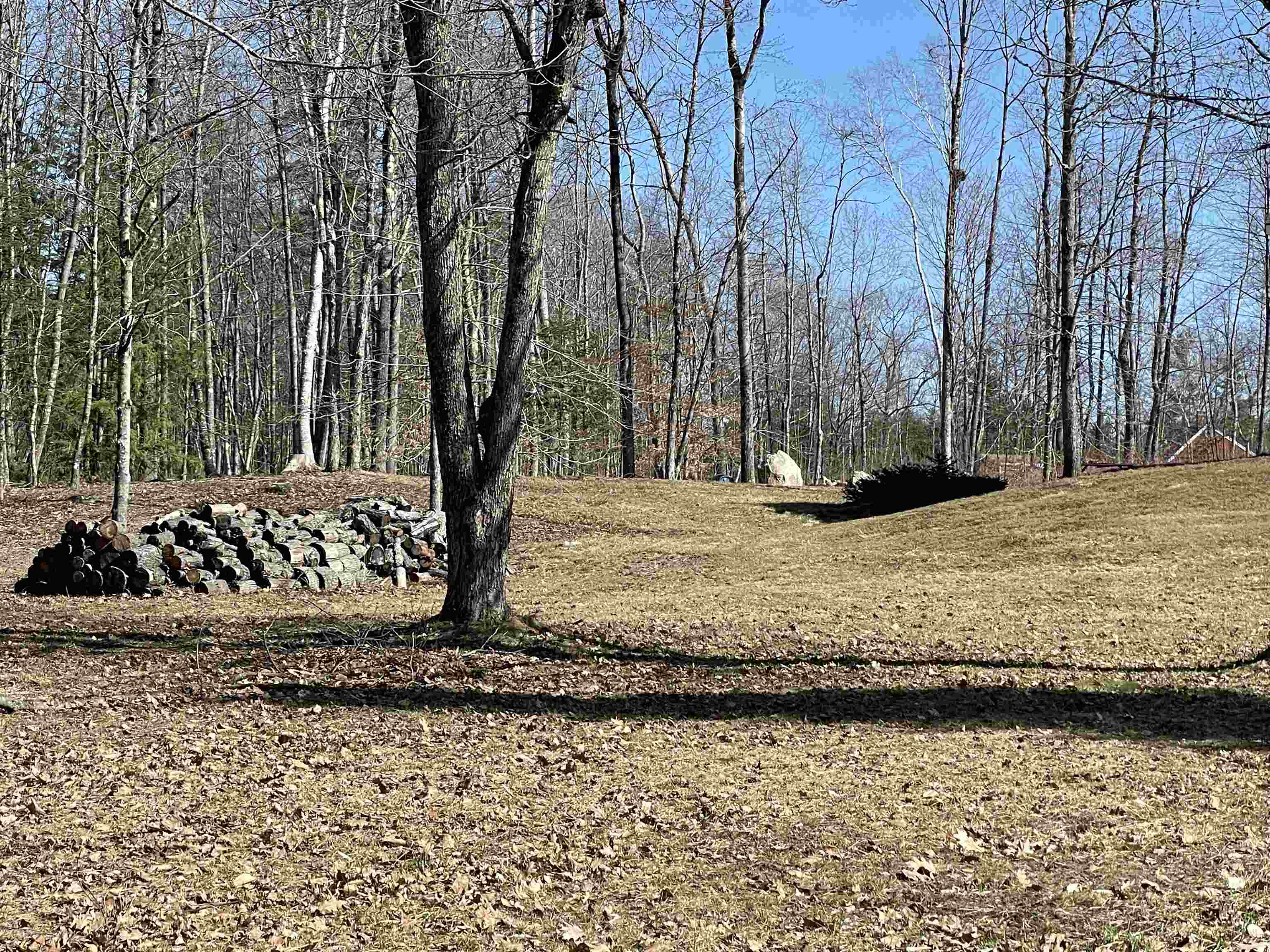 440 Pine River Road Effingham, NH 03882 - Photo 4 of 27 Gallery Image 4