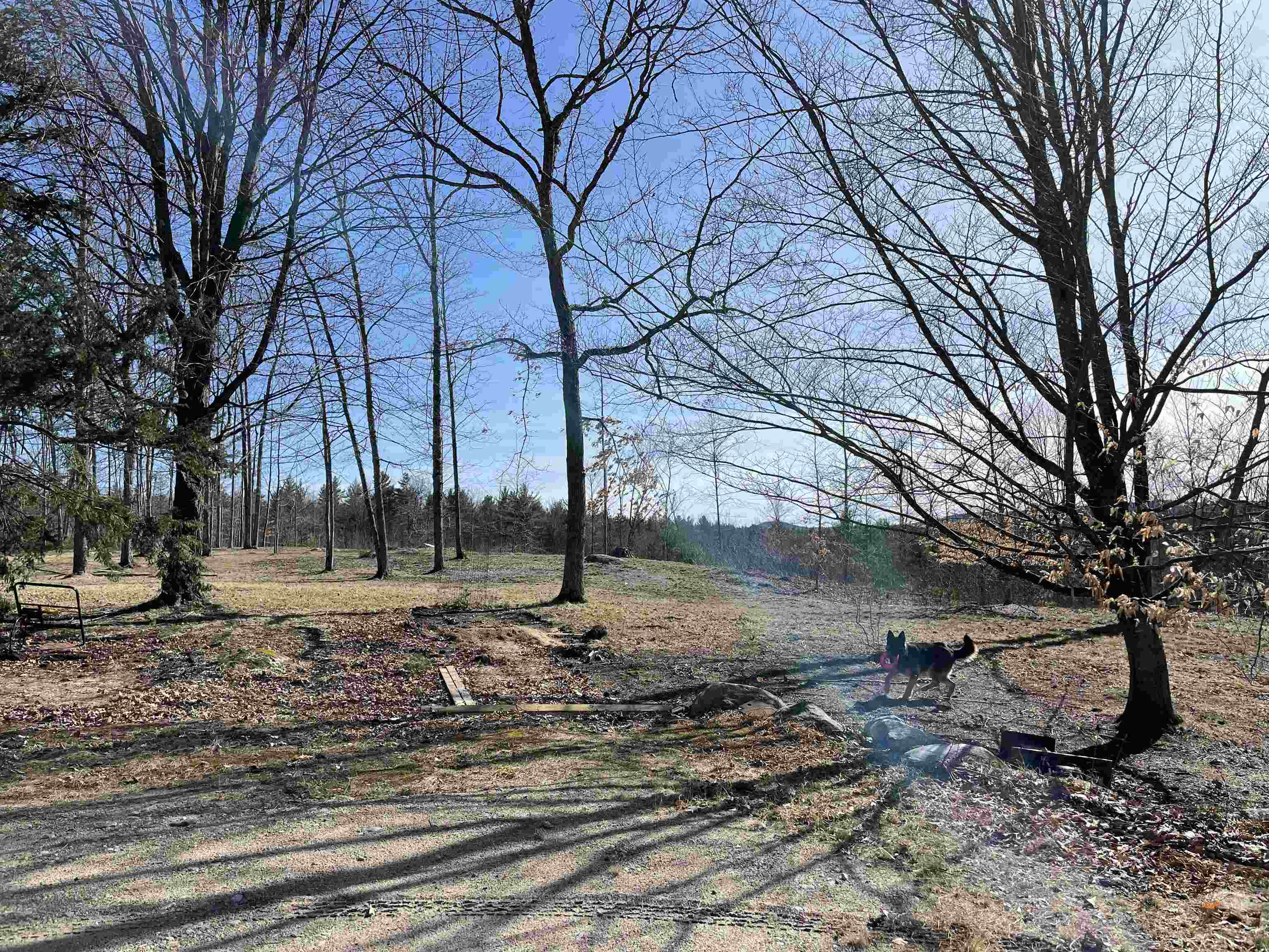 440 Pine River Road Effingham, NH 03882 - Photo 6 of 27 Gallery Image 6