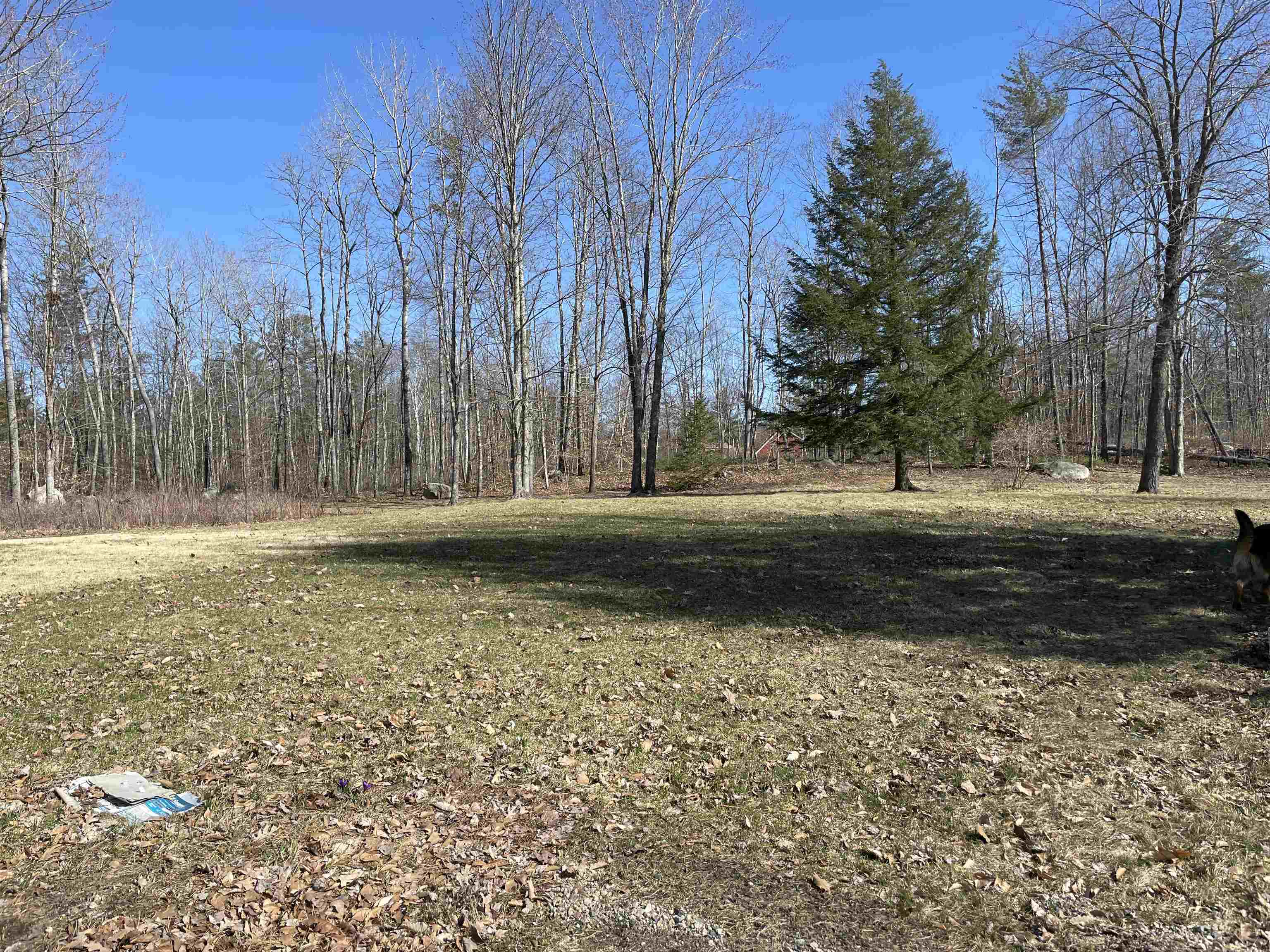 440 Pine River Road Effingham, NH 03882 - Photo 7 of 27 Gallery Image 7