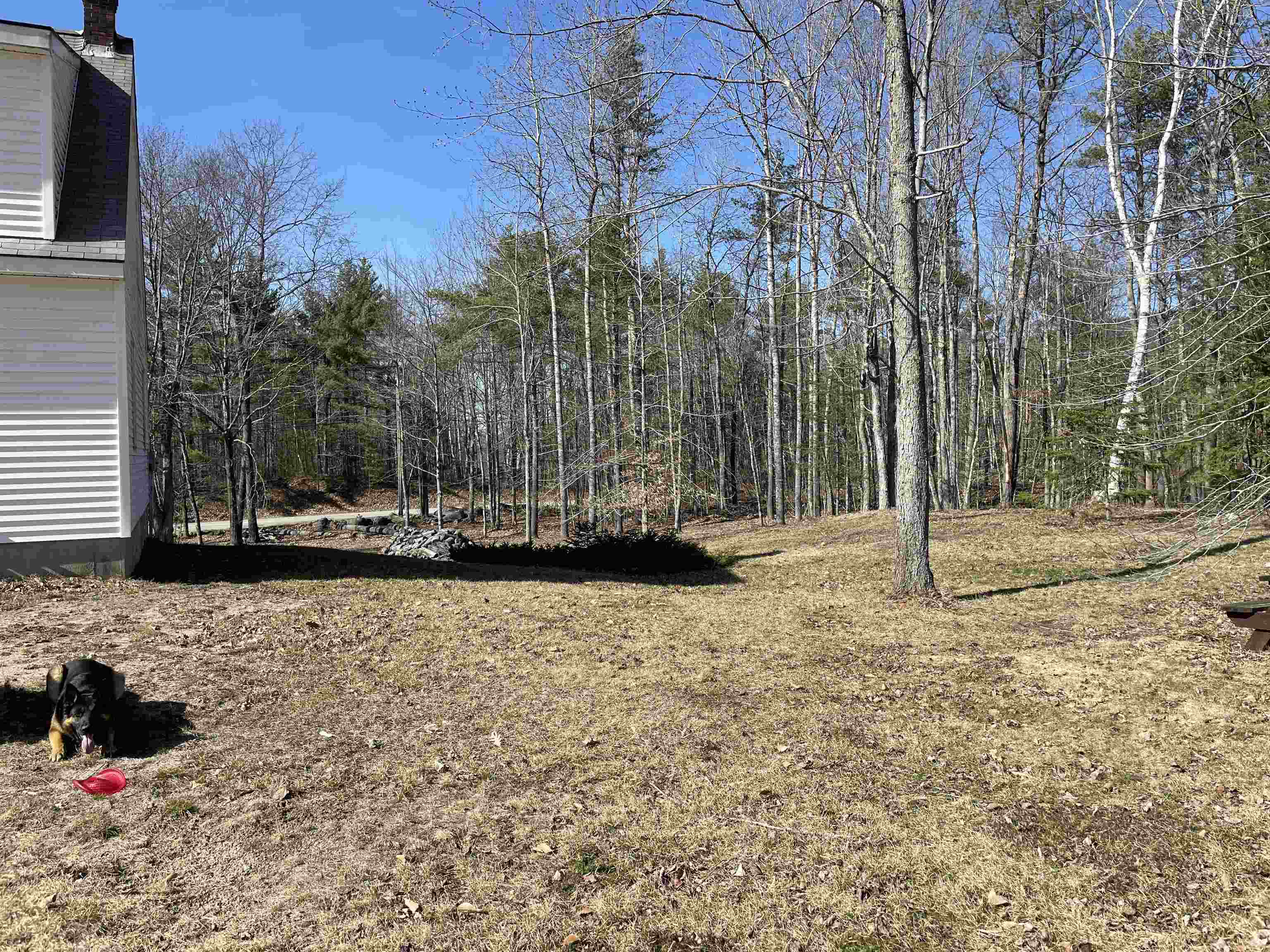 440 Pine River Road Effingham, NH 03882 - Photo 9 of 27 Gallery Image 9
