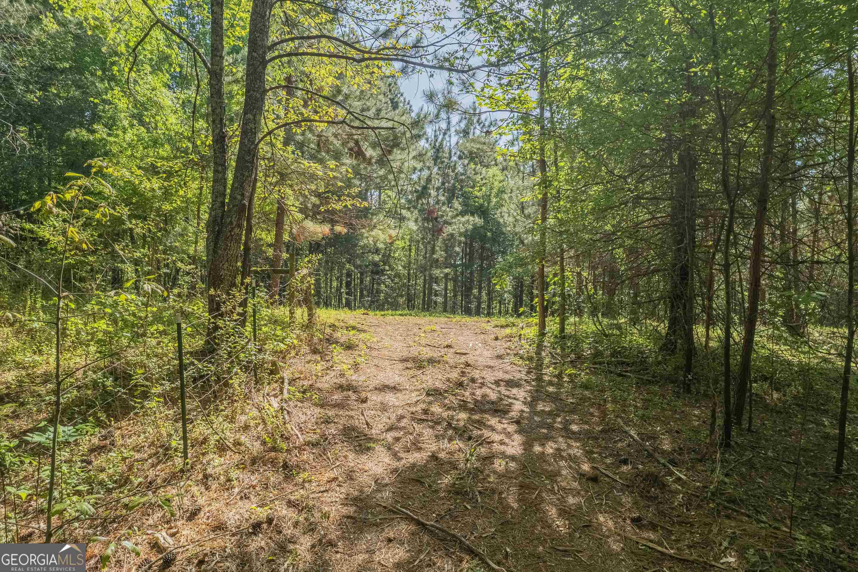 0 Old Mize Road Toccoa, GA 30577 - Photo 11 of 21 a view of forest