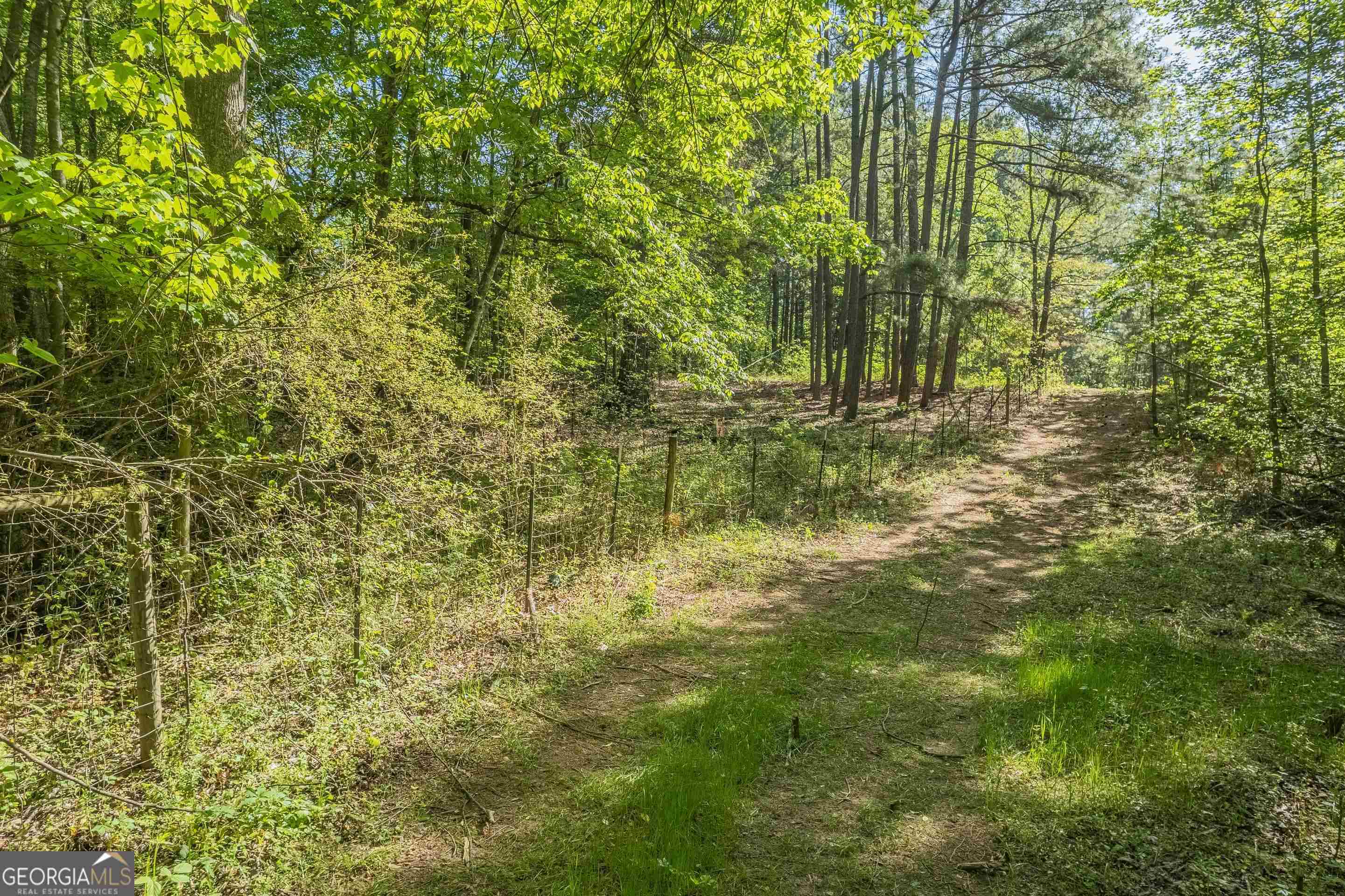0 Old Mize Road Toccoa, GA 30577 - Photo 12 of 21 a view of a yard with plants and trees