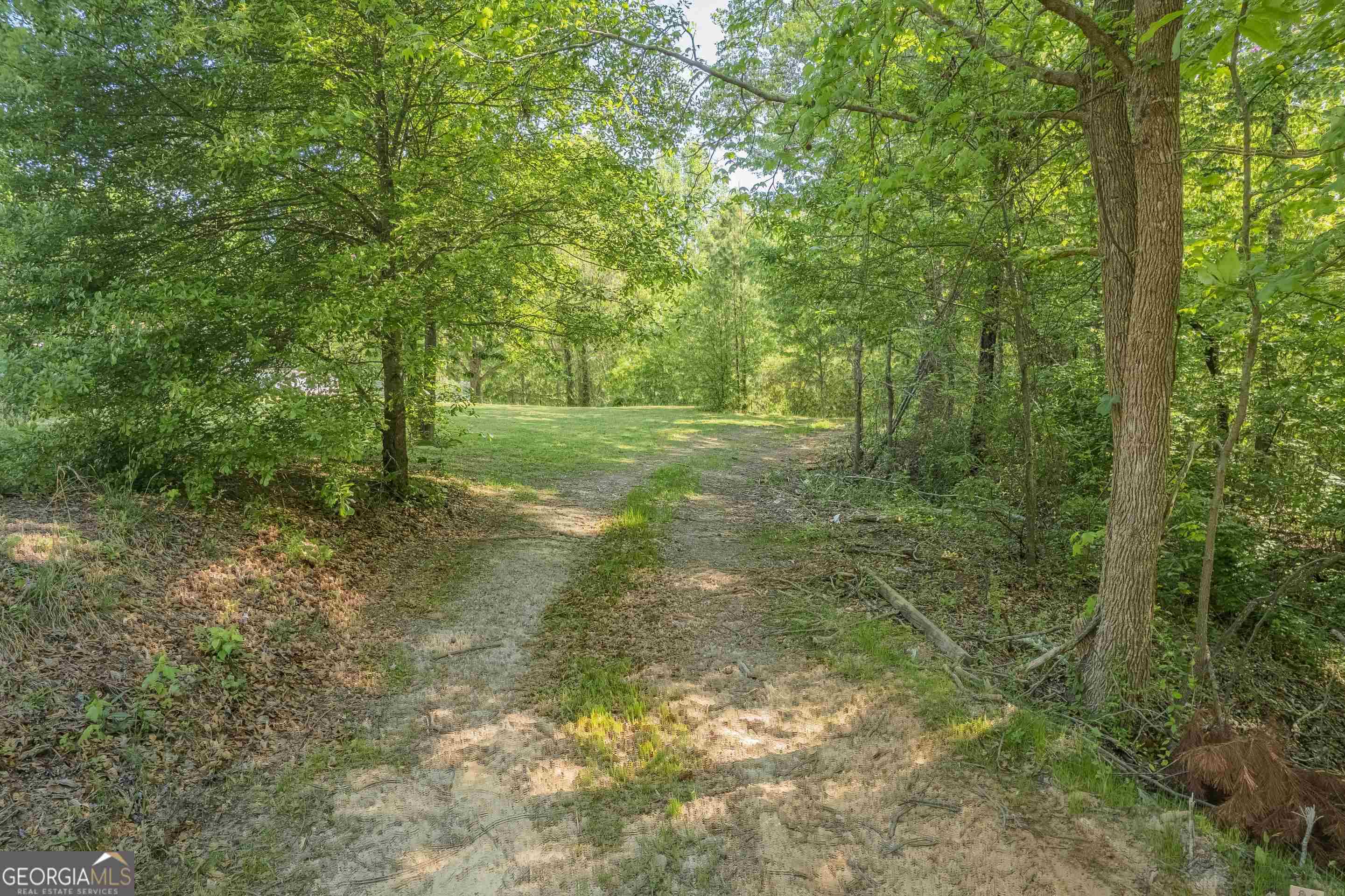 0 Old Mize Road Toccoa, GA 30577 - Photo 14 of 21 a view of a forest with trees in the background