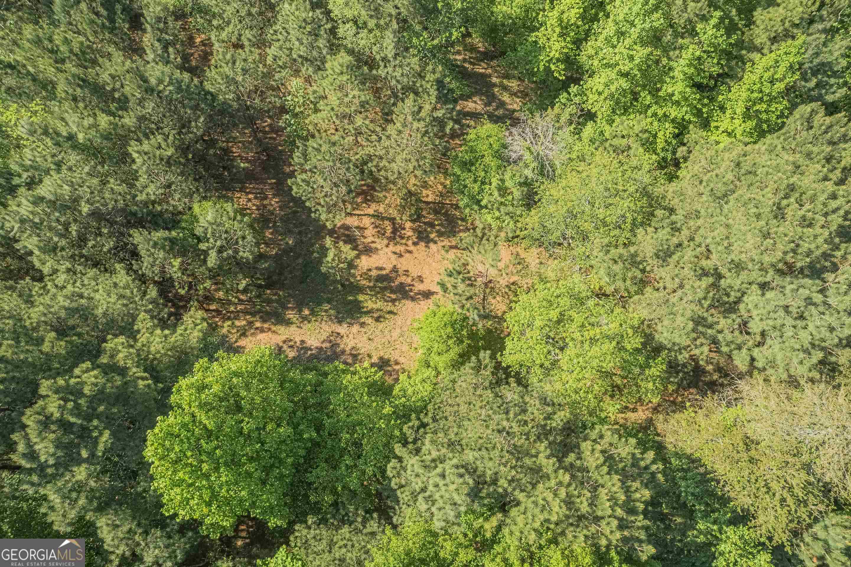 0 Old Mize Road Toccoa, GA 30577 - Photo 17 of 21 a view of a yard