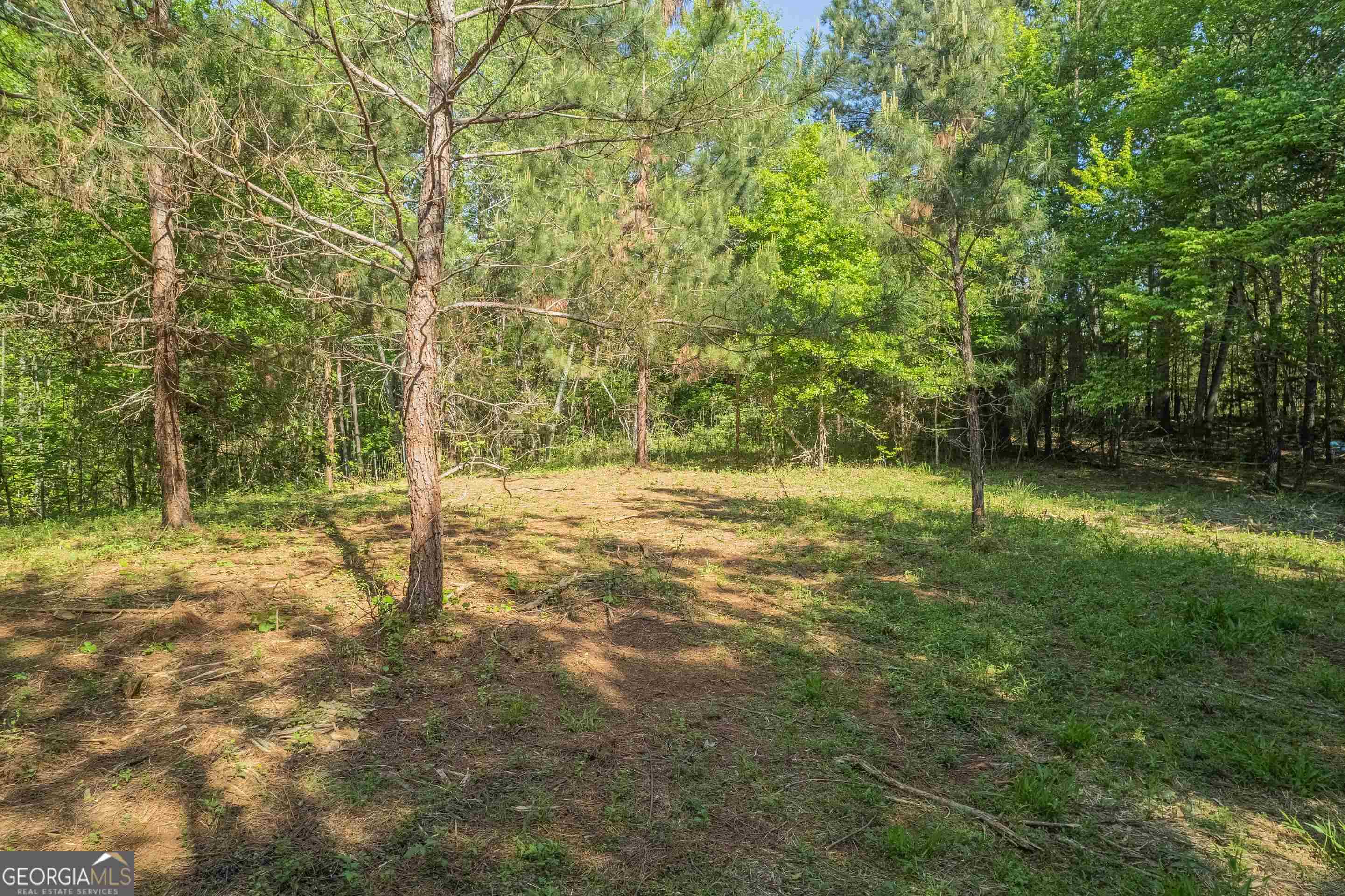 0 Old Mize Road Toccoa, GA 30577 - Photo 18 of 21 a backyard of a house with lots of green space