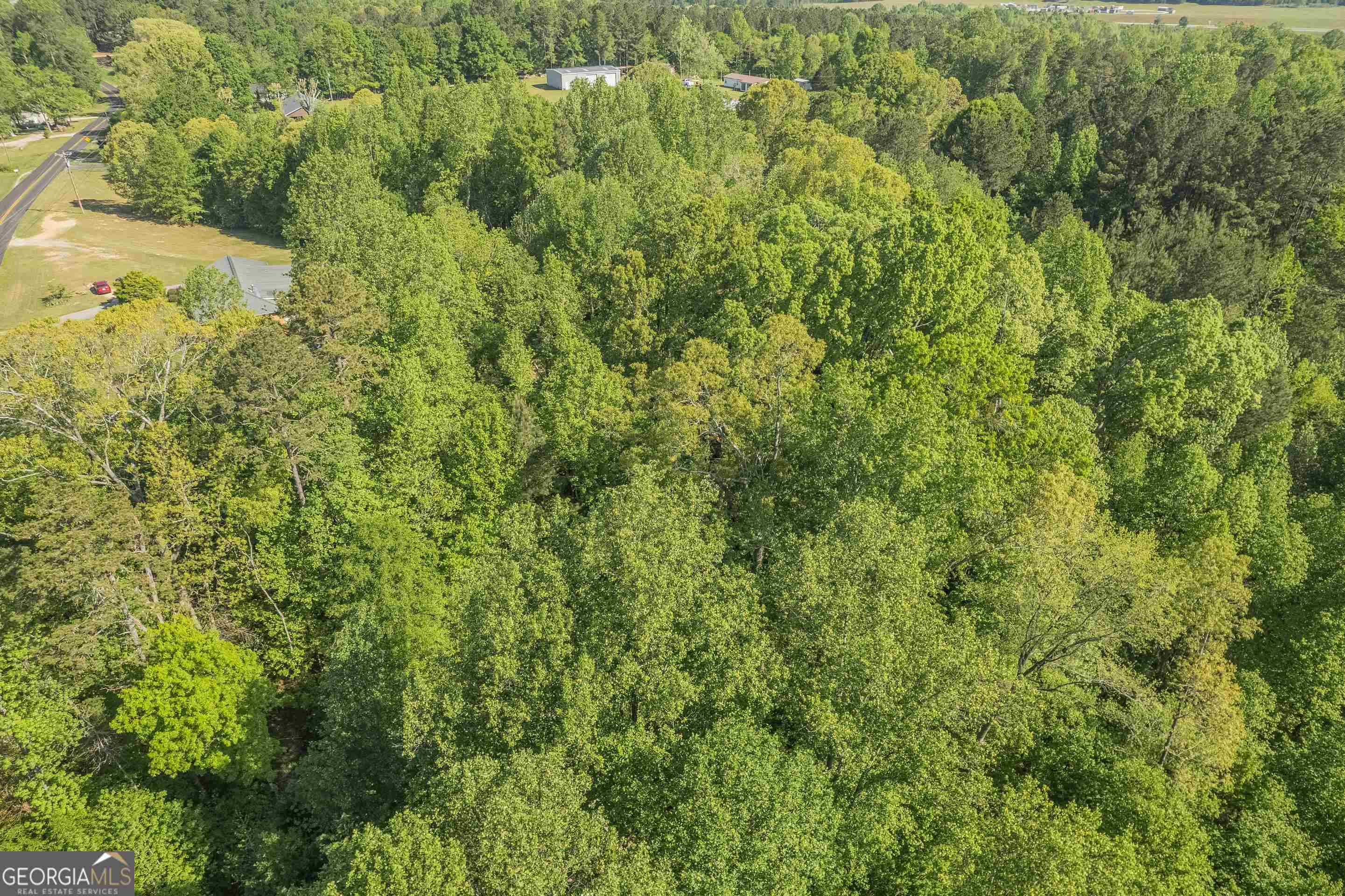 0 Old Mize Road Toccoa, GA 30577 - Photo 19 of 21 a view of a big yard with plants and large trees