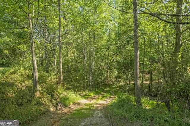 $178,100 | 0 Old Mize Road, Toccoa, GA 30577