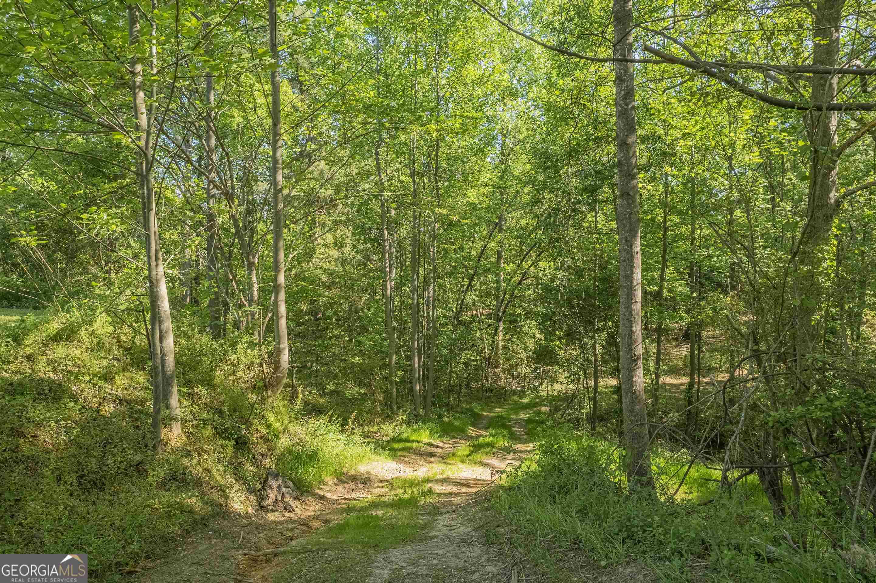 0 Old Mize Road Toccoa, GA 30577 - Photo 20 of 21