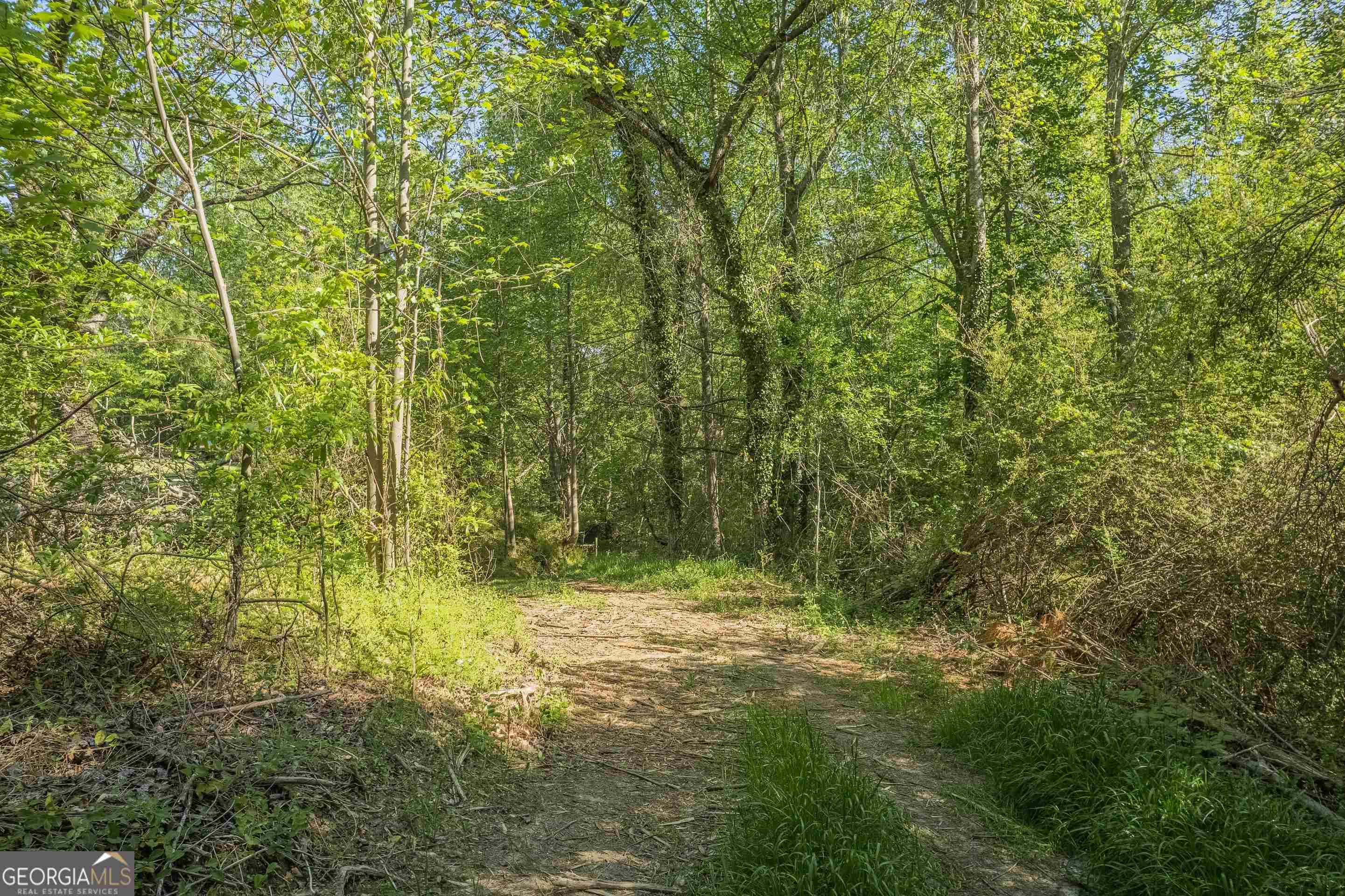 0 Old Mize Road Toccoa, GA 30577 - Photo 2 of 21 a view of outdoor space and a yard