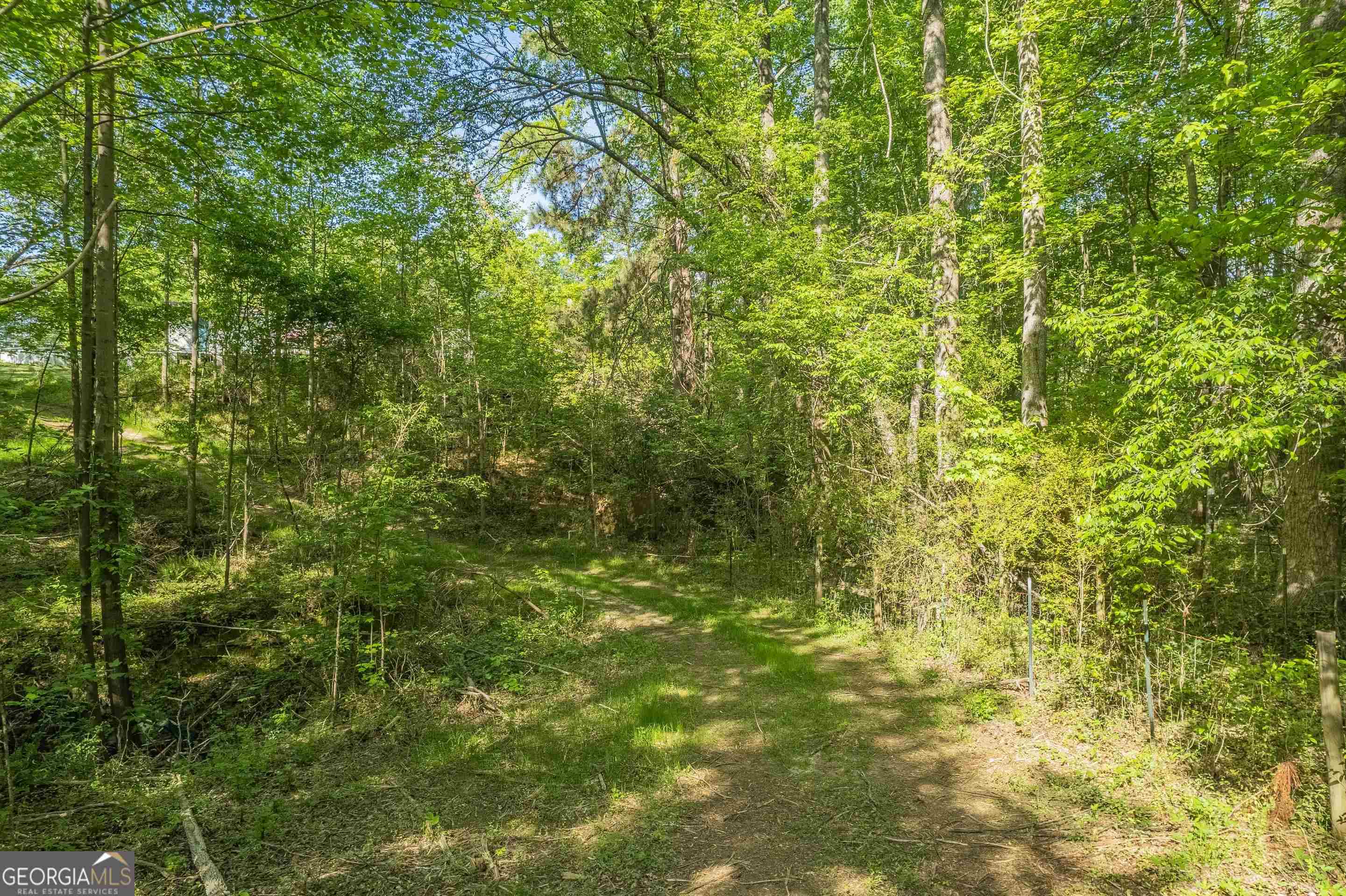 0 Old Mize Road Toccoa, GA 30577 - Photo 4 of 21 a view of a yard
