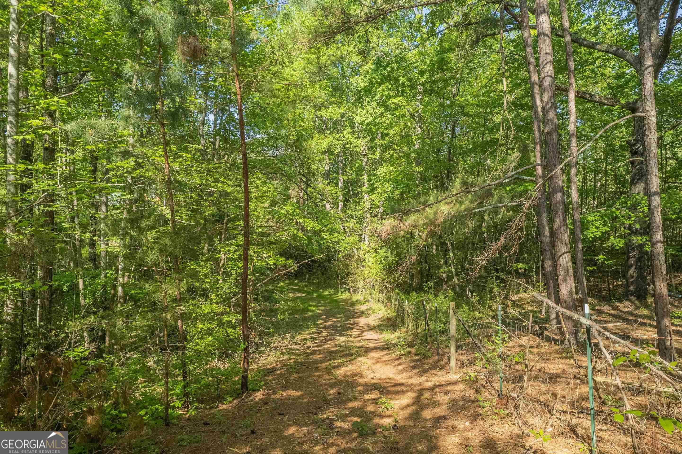 0 Old Mize Road Toccoa, GA 30577 - Photo 5 of 21 a view of a pathway of a building