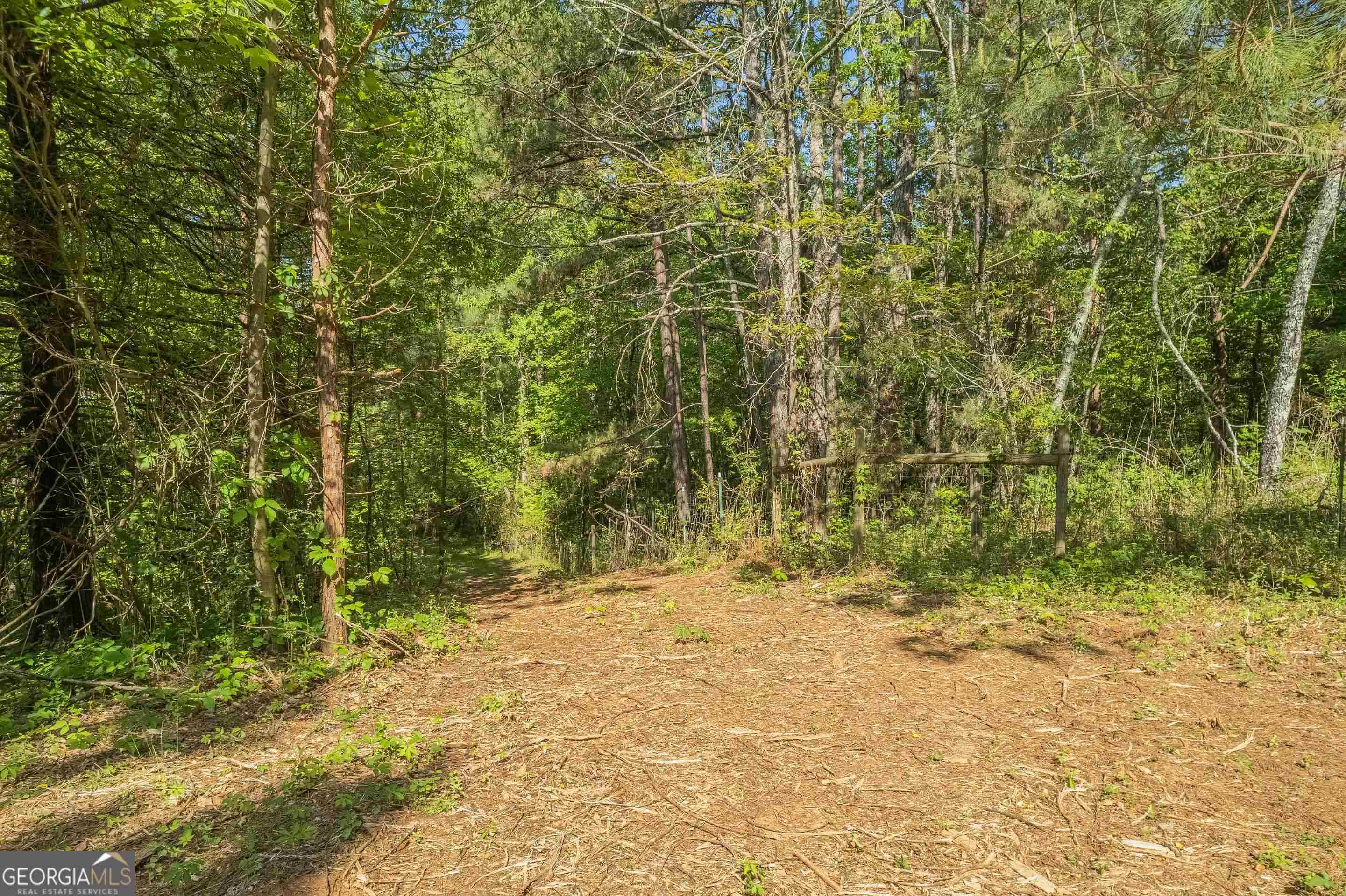 0 Old Mize Road Toccoa, GA 30577 - Photo 6 of 21 a view of outdoor space and a yard